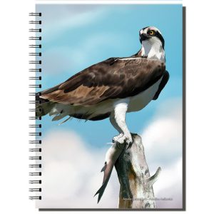 Cuaderno de Campo Águila Pescadora